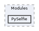 src/Modules/PySelfie